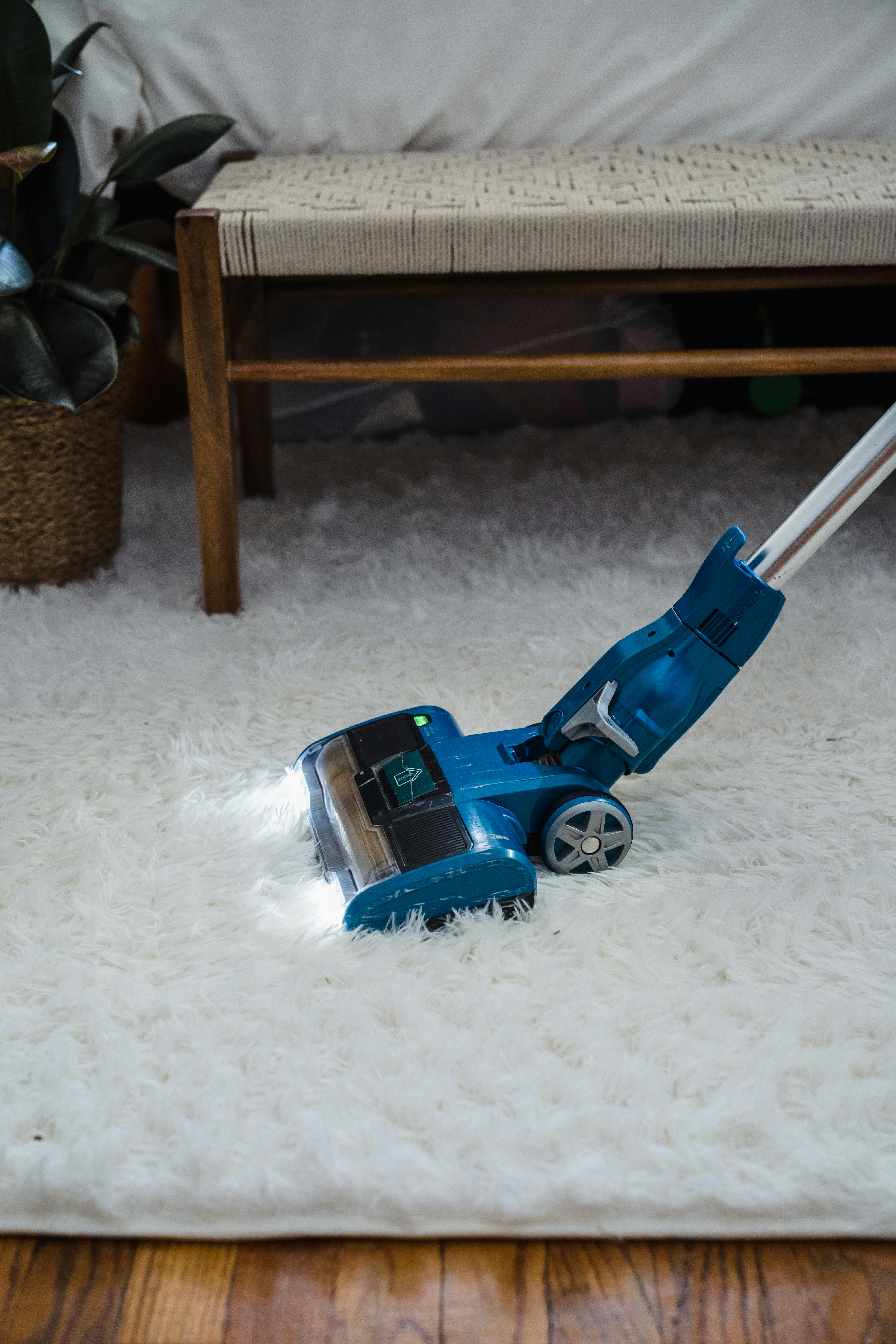 Carpet Cleaning Services